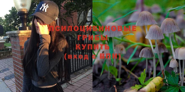 экстази Лагань