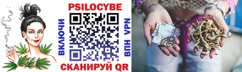 darknet Telegram  Тихвин  Псилоцибиновые грибы Psilocybine cubensis  KRAKEN ссылки 