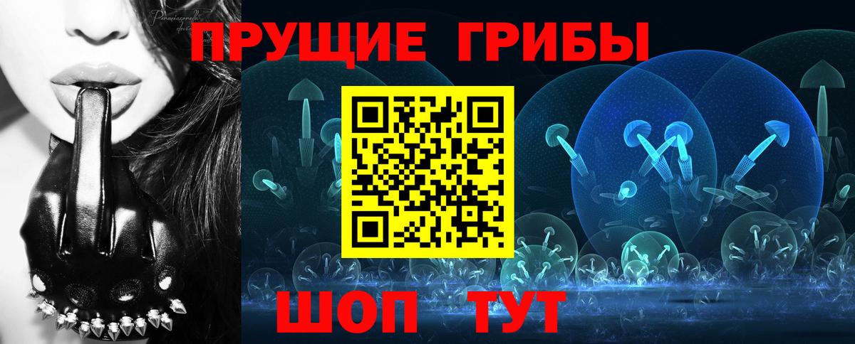 Тихвин  Псилоцибиновые грибы Cubensis  Вход с VPN  Псилоцибиновые грибы MAGIC MUSHROOMS 
